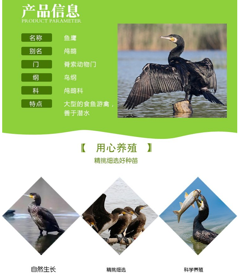 1676268875625337.png image.png